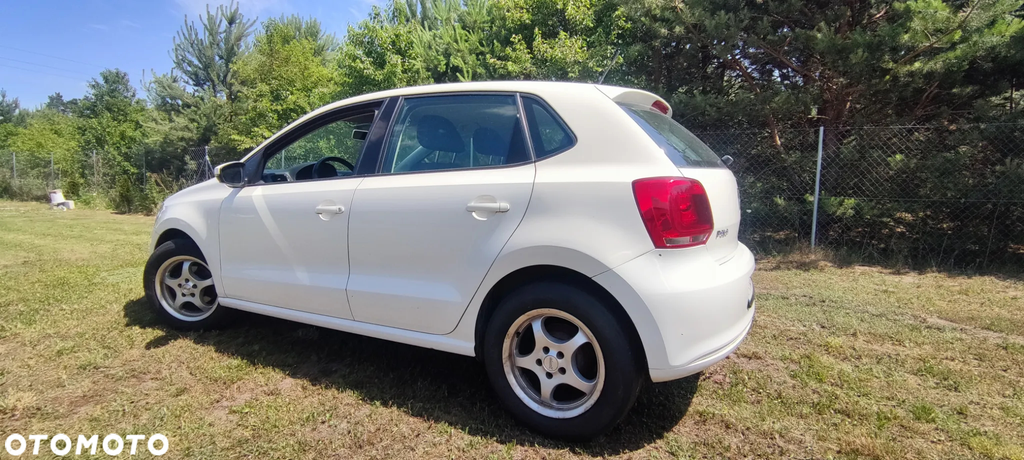 Volkswagen Polo 1.2 TDI Blue Motion 87g - 2
