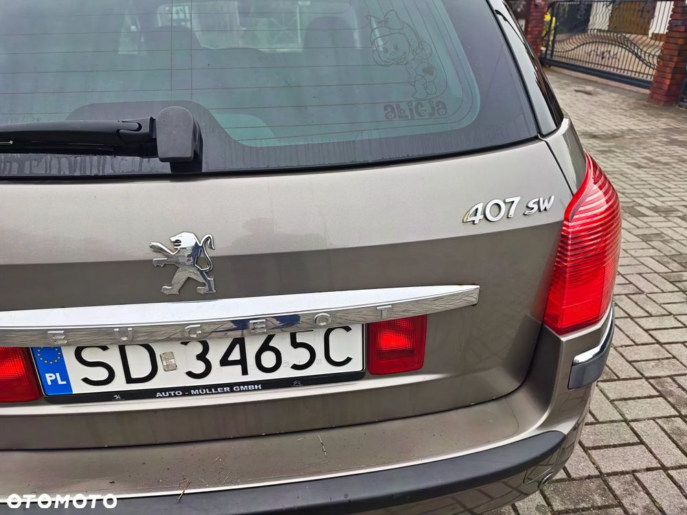 Peugeot 407 - 22