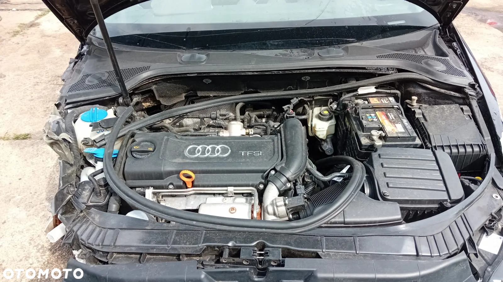 Tylko części Audi A3 8P S line FL 1.4 tfsi 16V 125KM 92kW 5d sportback lakier LZ7L 08r-13r - 10