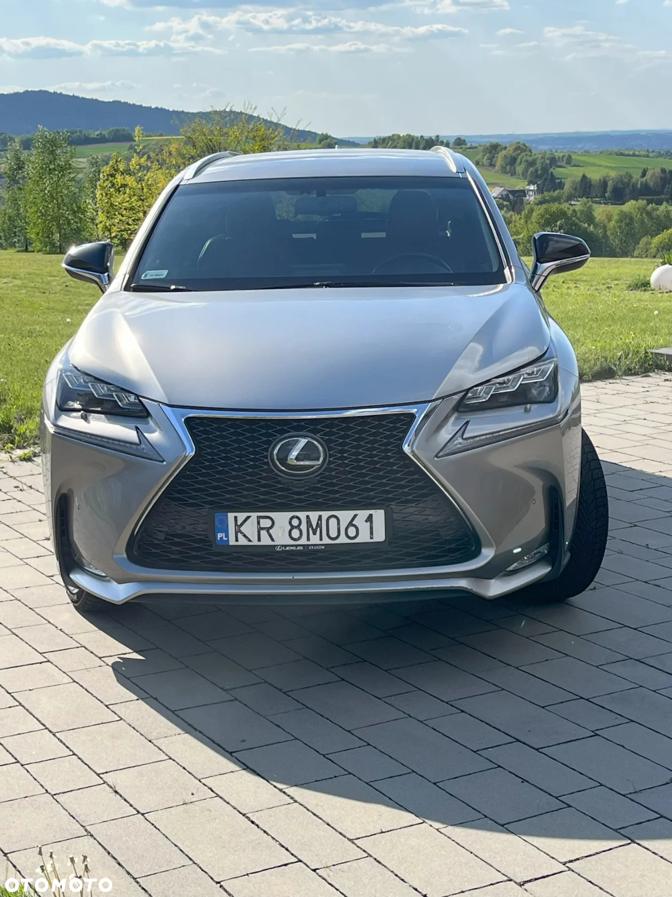 Lexus NX 200t F Sport AWD - 9