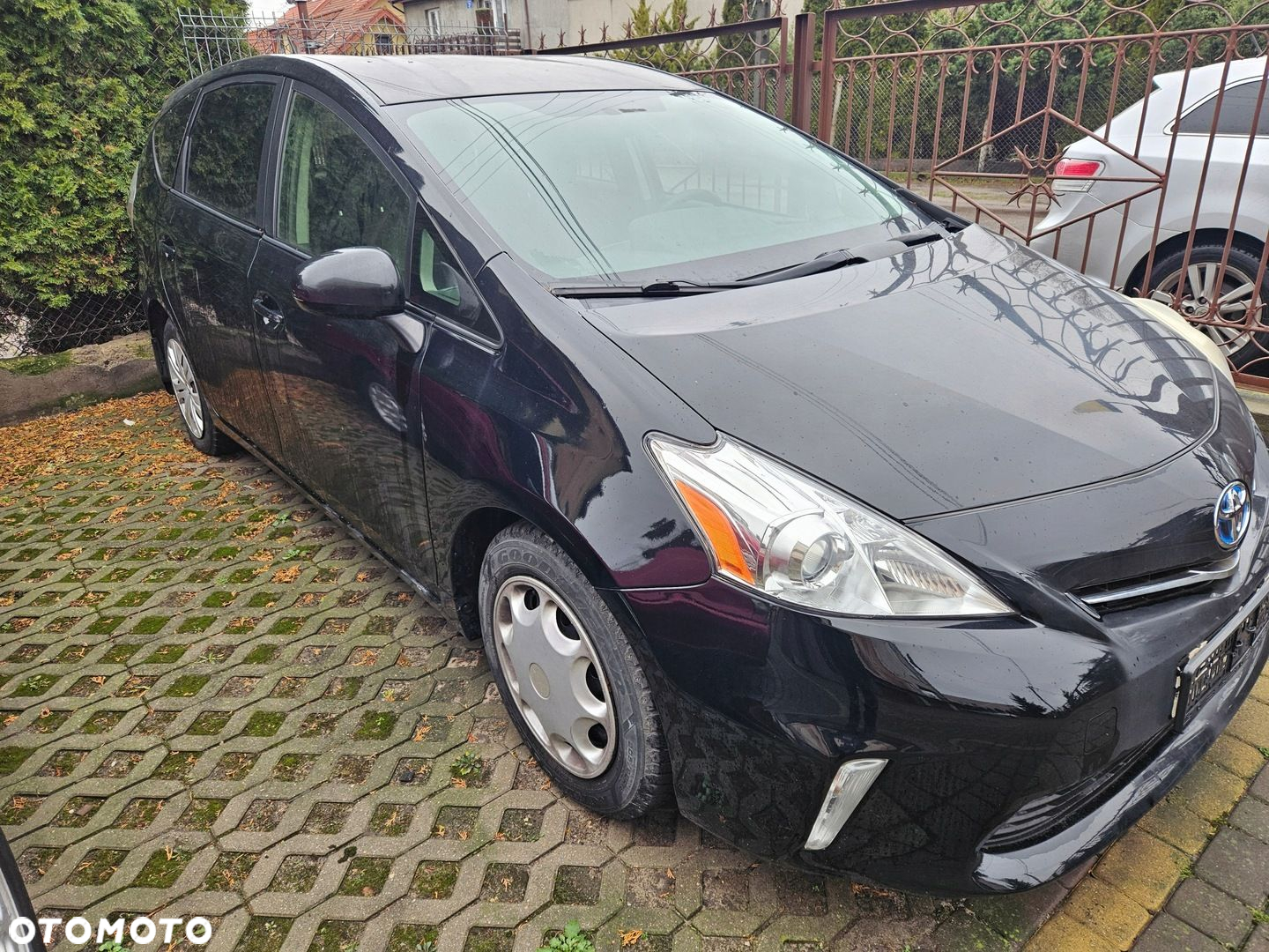 TOYOTA PRIUS PLUS USZCZELKA DRZWI LEWY PRZÓD - 2