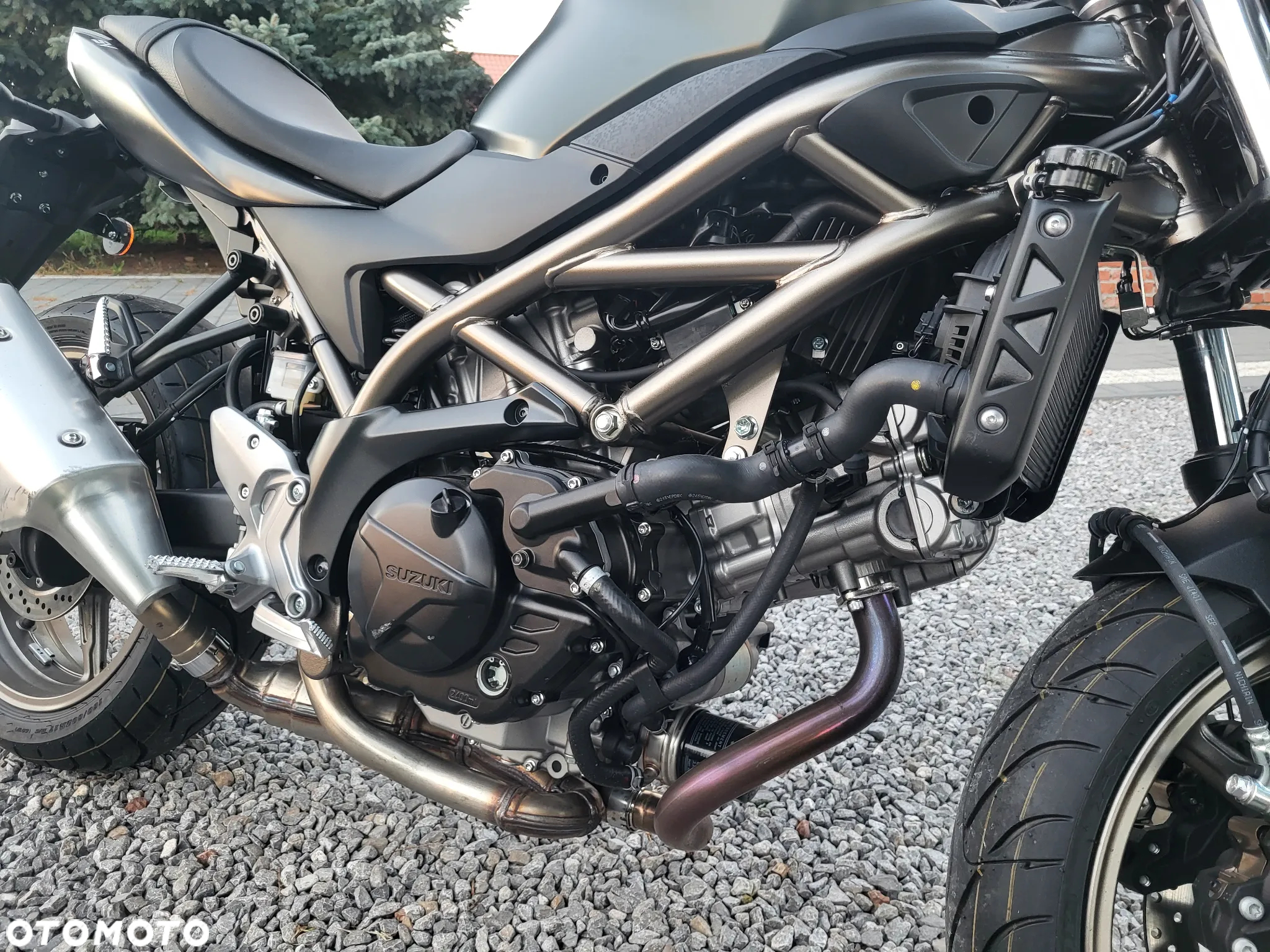 Suzuki SV - 4