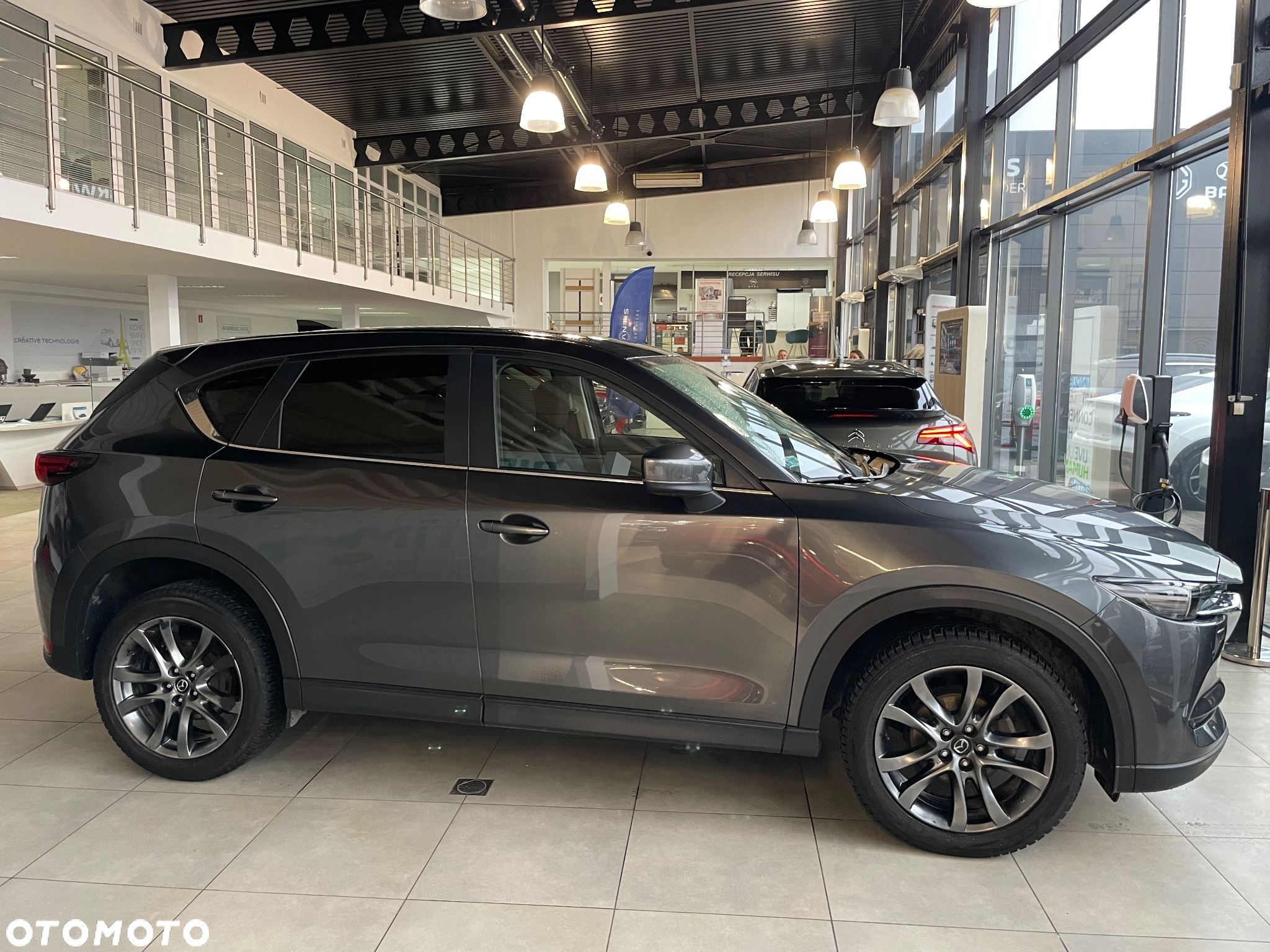 Mazda CX-5 2.5 Skyenergy 2WD - 4