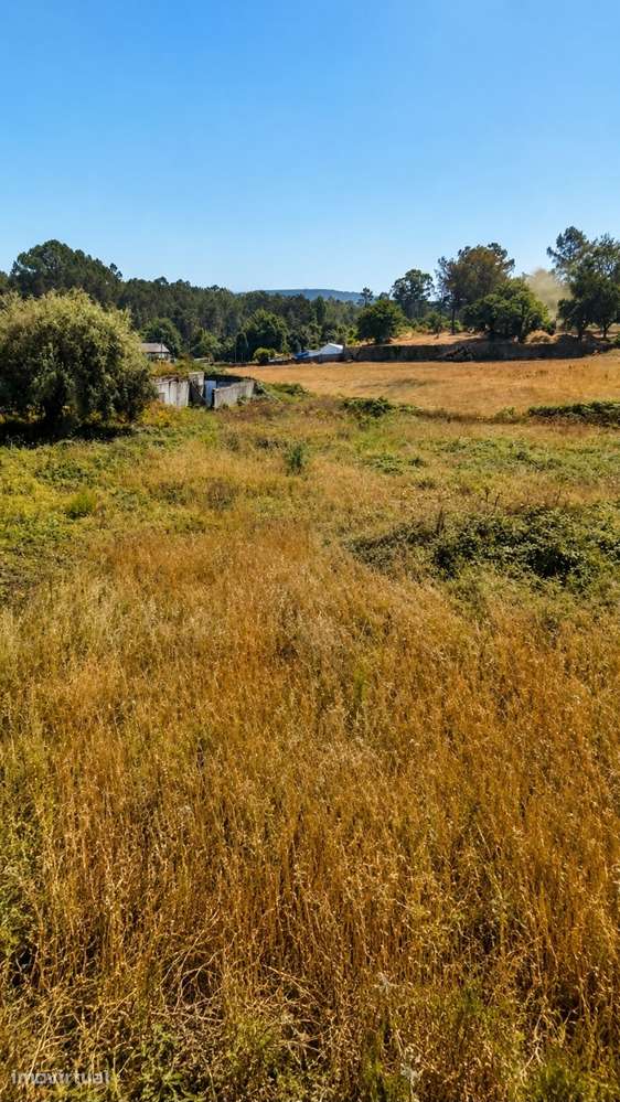 Terreno Urbano de 2.600 m² em São Romão do Coronado - Grande imagem: 5/11