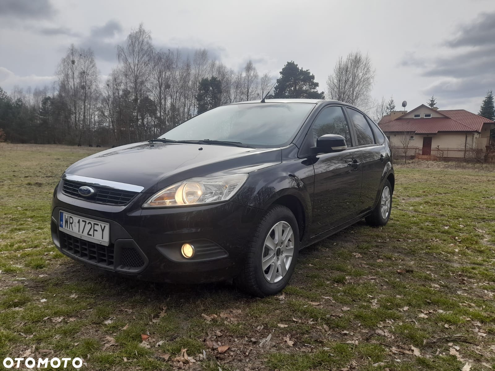 Ford Focus - 8
