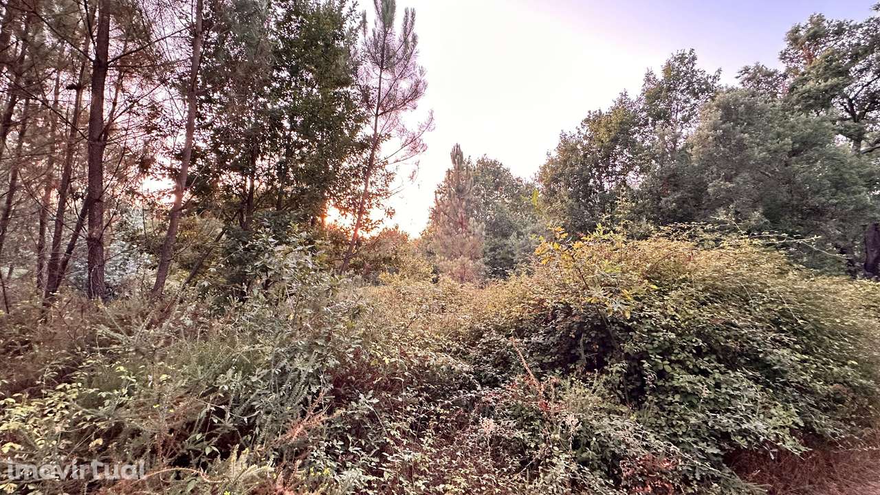 Terreno urbano com armazém + terreno rústico – Excelente oportunidade - Grande imagem: 4/5