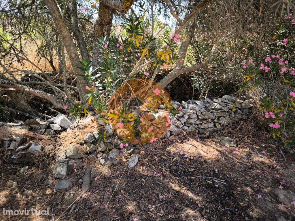 TERRENO COM 4.000 M2 - PARA CONSTRUÇÃO - NA ALDEIA DE TESOURO - EM ... - Grande imagem: 3/49