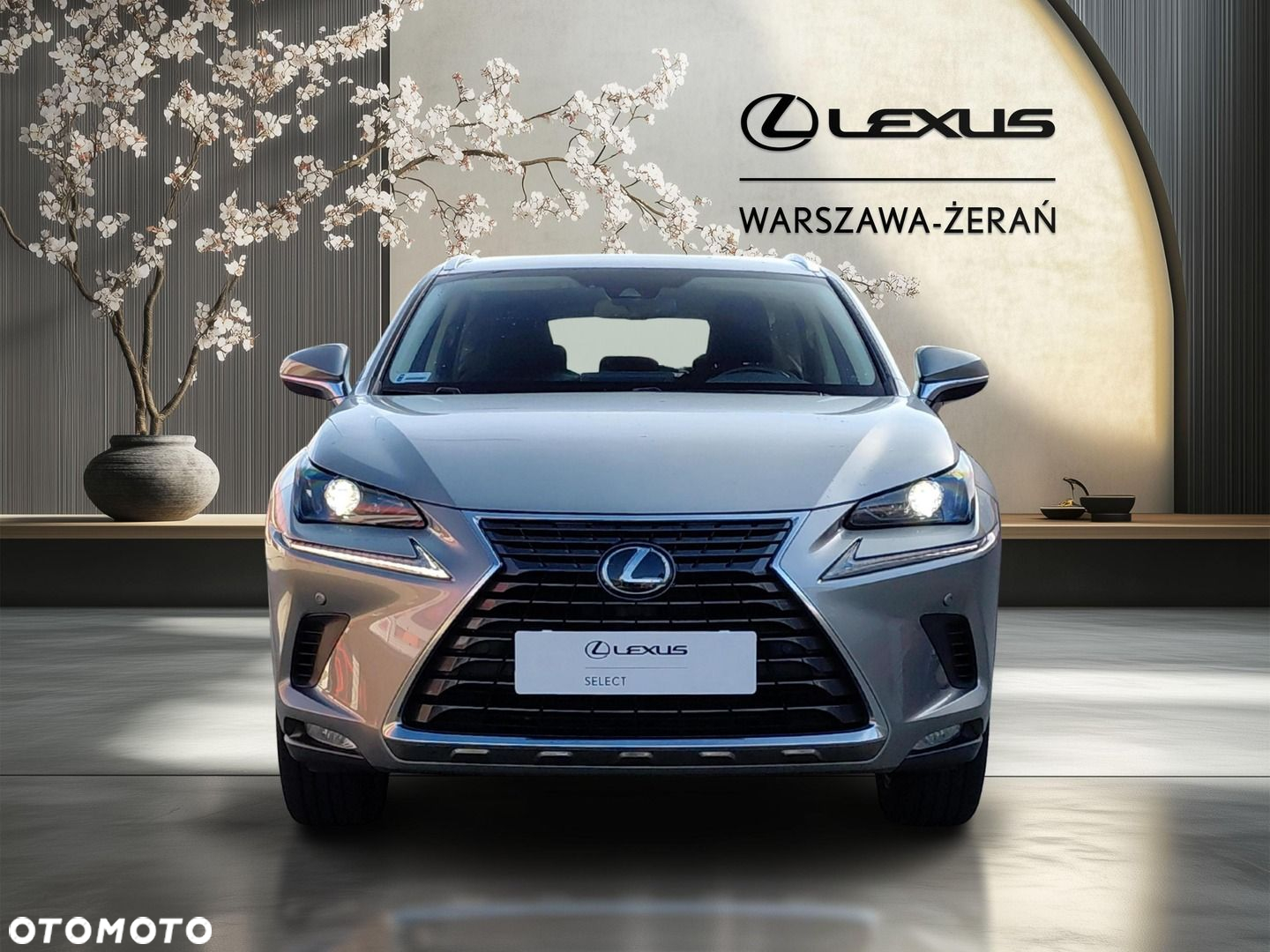 Lexus NX 300 Optimum AWD - 10