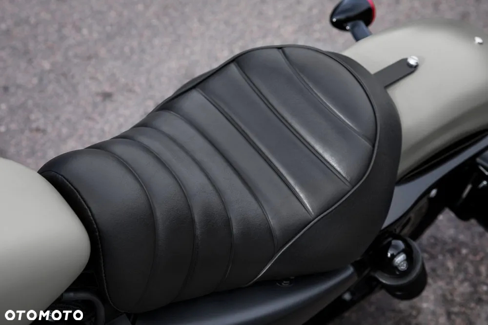 Harley-Davidson Sportster Iron 883 - 12