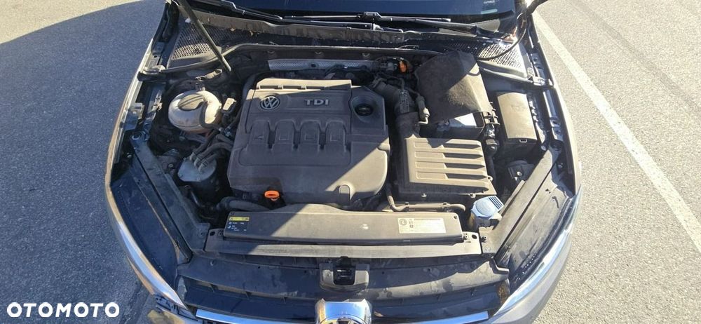 Volkswagen Golf - 20