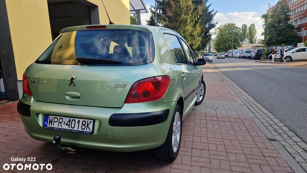 Peugeot 307 2.0 Premium - 7
