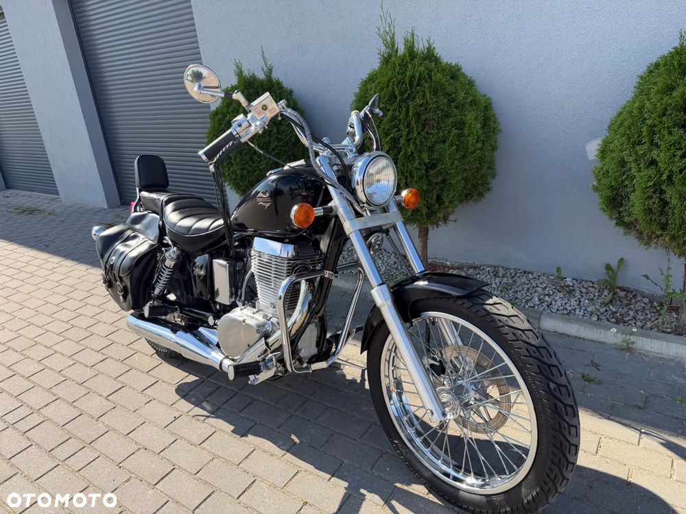 Suzuki Savage - 39