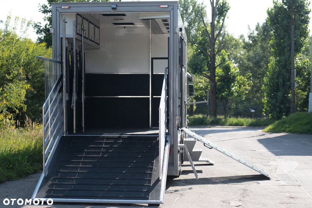 Renault T , Koniowóz 4 konie , zabudowa 2025 - gwarancja - 26