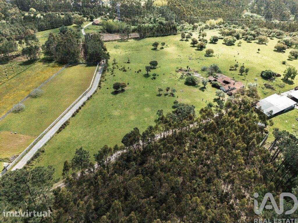Terreno em Souto da Carpalhosa e Ortigosa de 161861,00 m2 - Grande imagem: 3/17