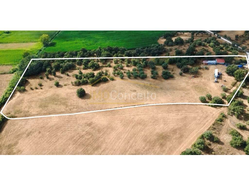 Terreno em Brogueira 20.000m2 Projeto Aprovado + Contentor T2 - Grande imagem: 2/29