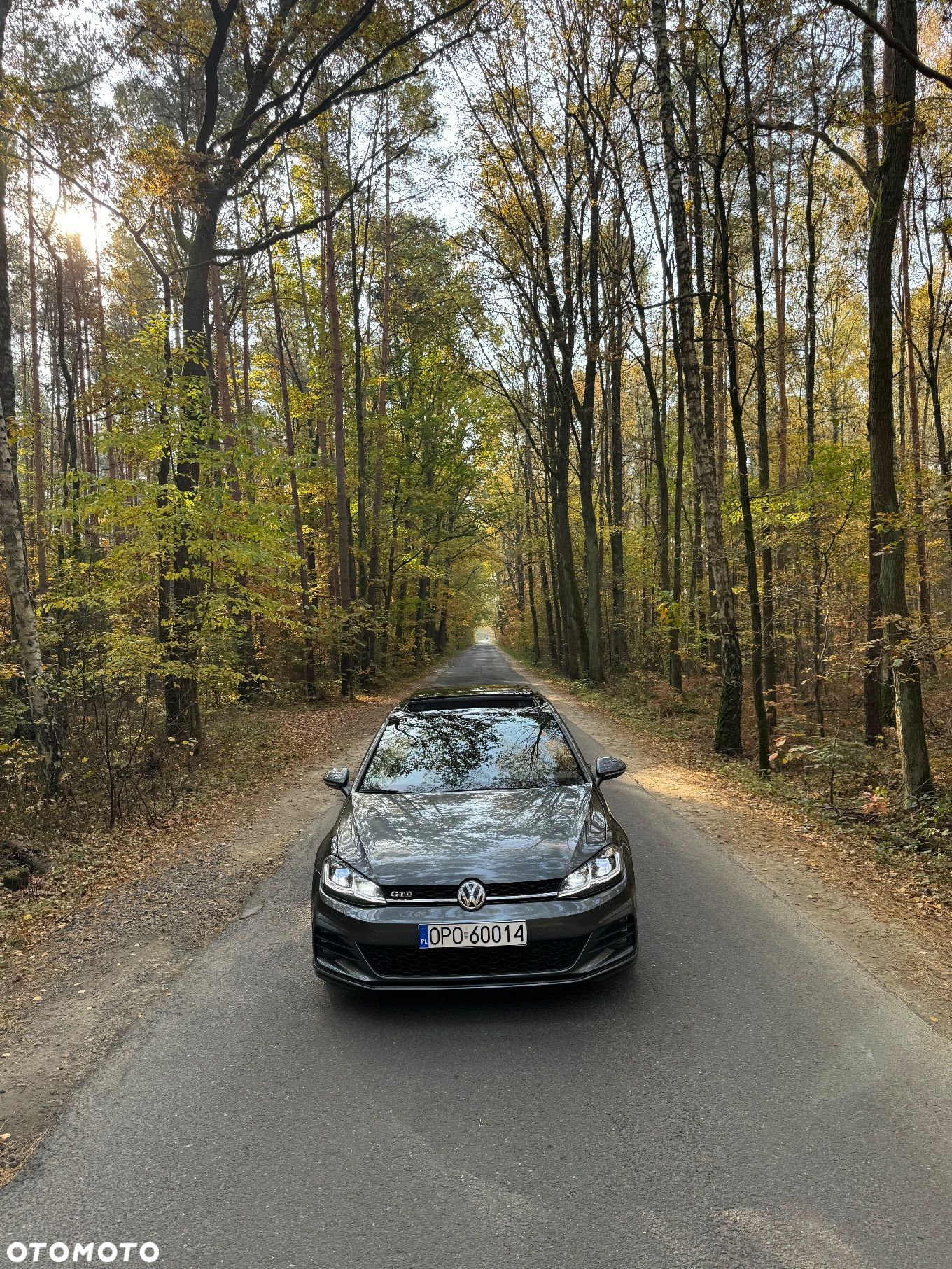Volkswagen Golf GTD 2.0 TDI SCR DSG - 1