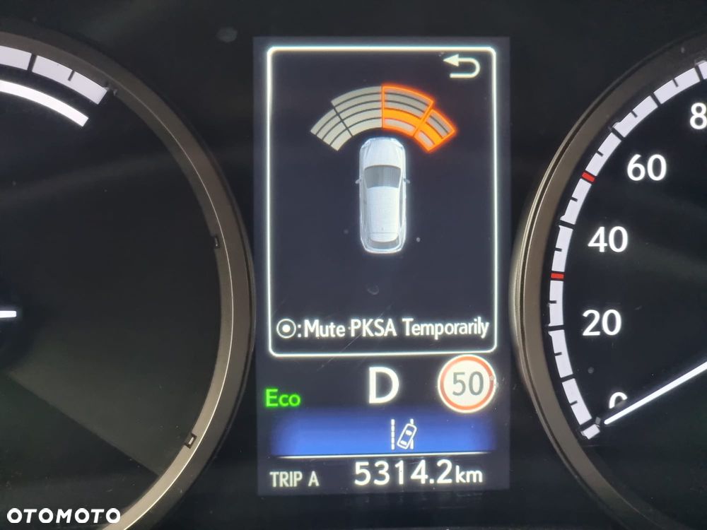 Lexus NX 300h F Sport Edition AWD - 32