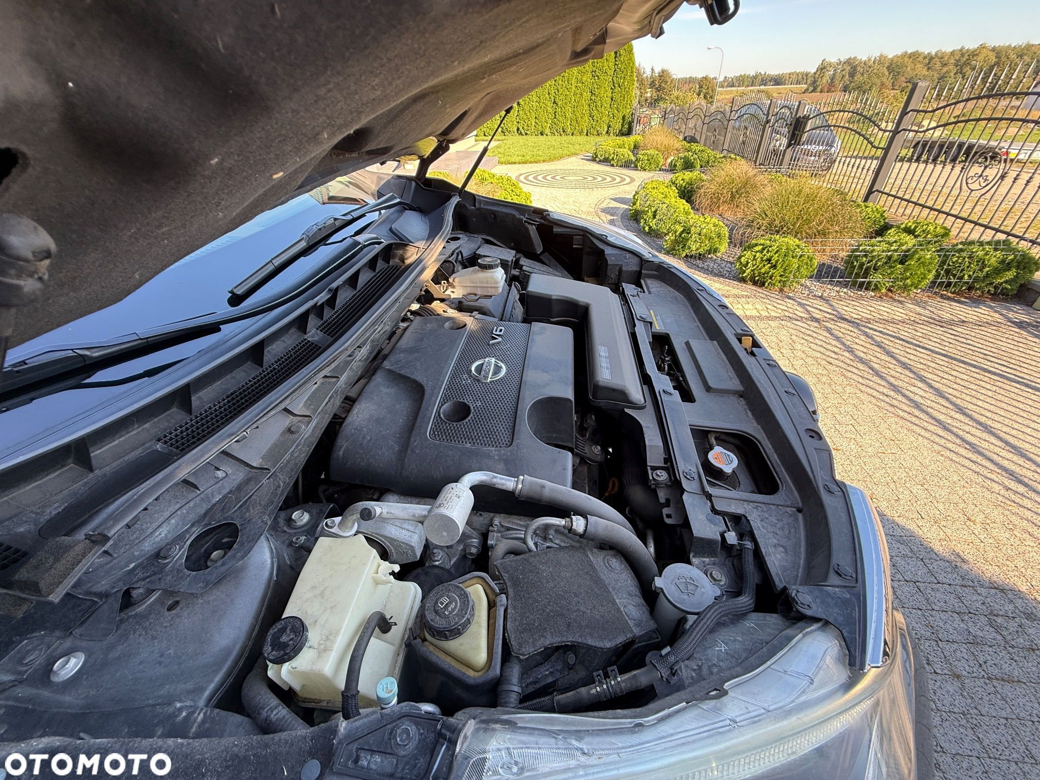 Nissan Murano - 32