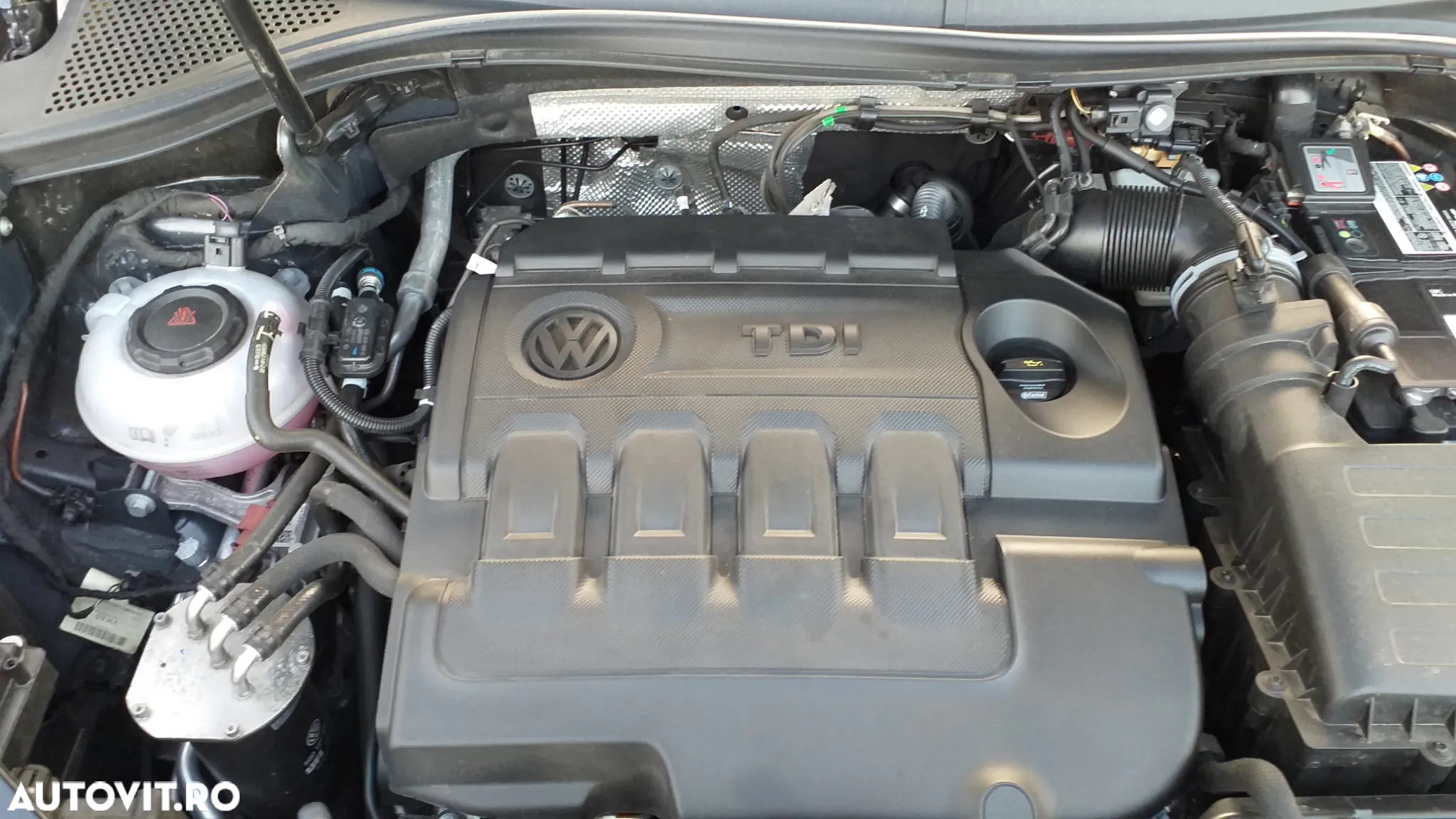 Volkswagen Tiguan - 5