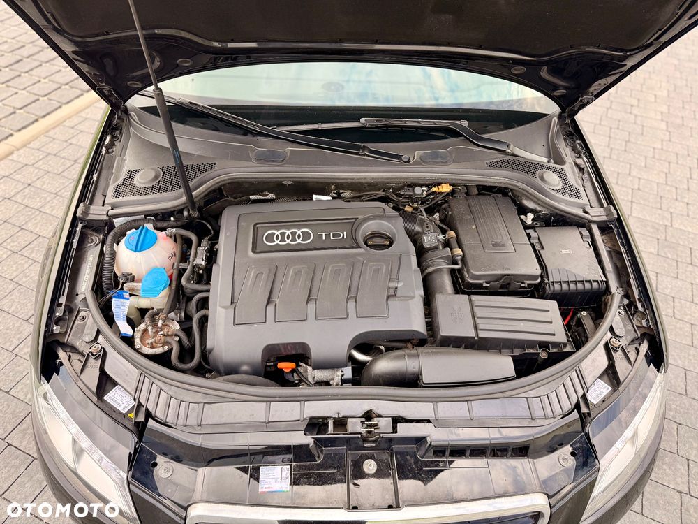 Audi A3 3-drzwiowe 1.6 TDI DPF Attraction S tronic - 14