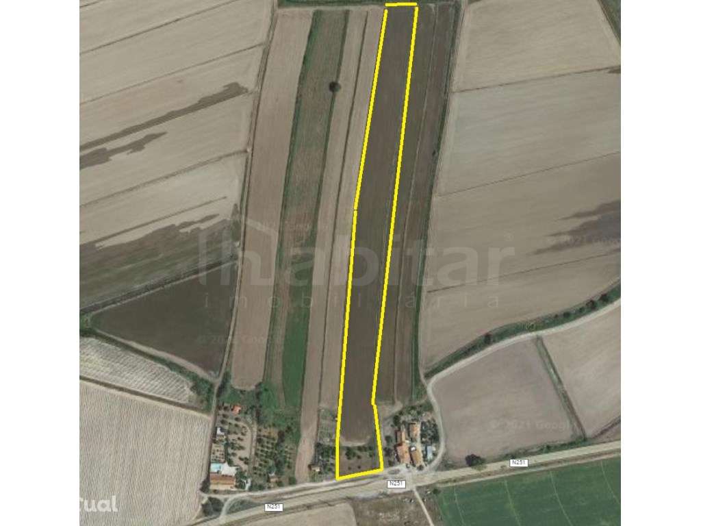 Terreno Rústico - Grande imagem: 3/4