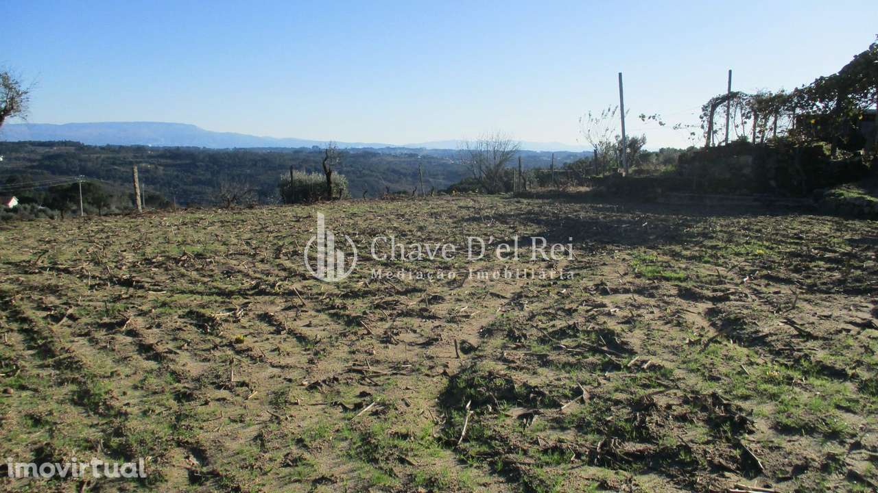 Quinta  Venda em São João de Lourosa,Viseu - Grande imagem: 5/19