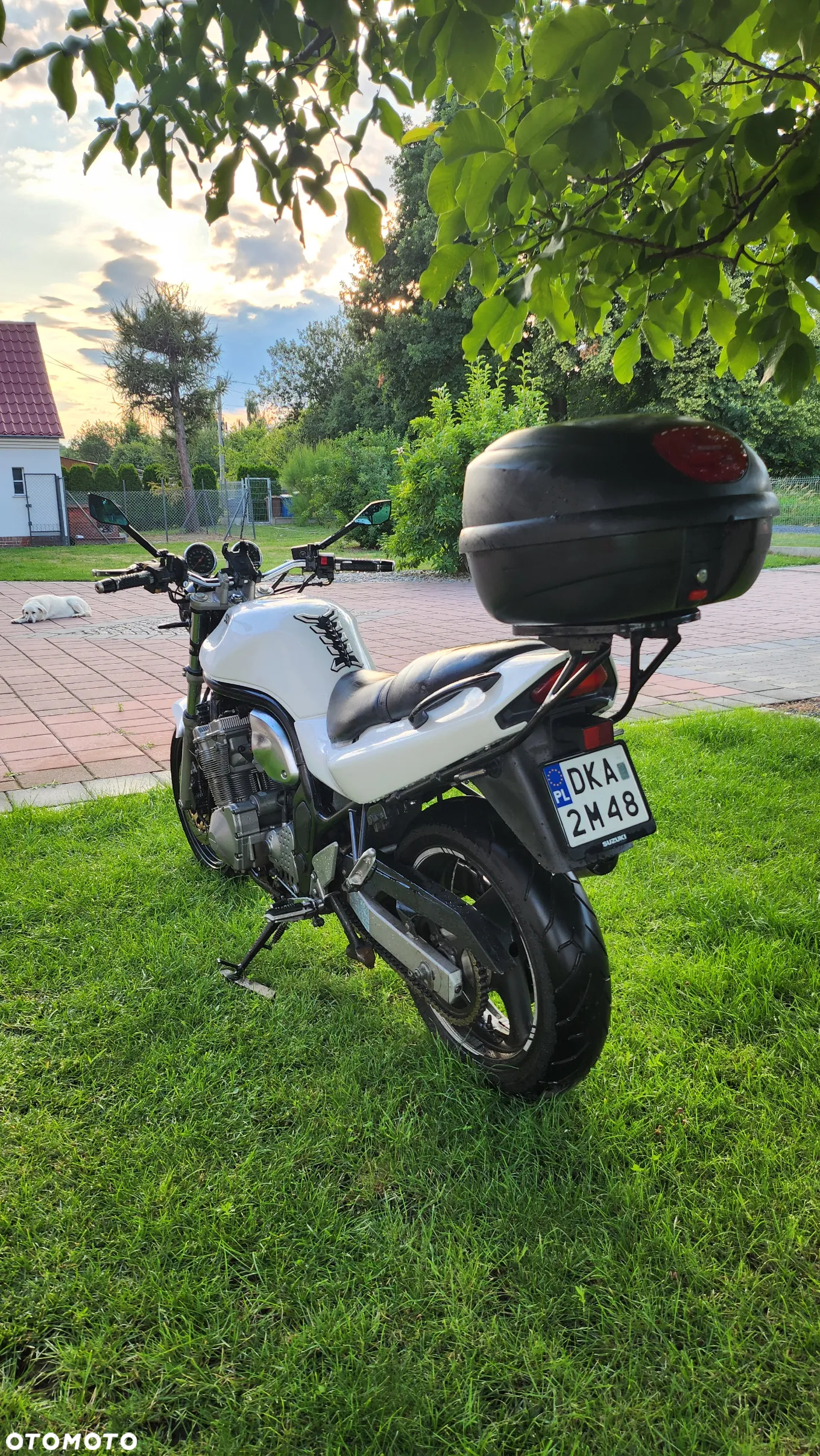 Suzuki Bandit - 5