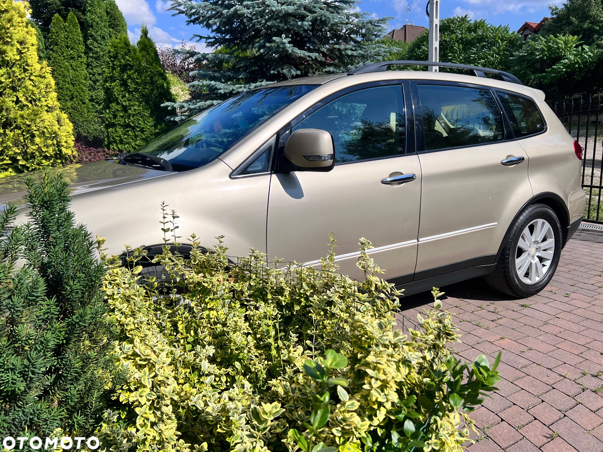 Subaru B9 Tribeca - 8