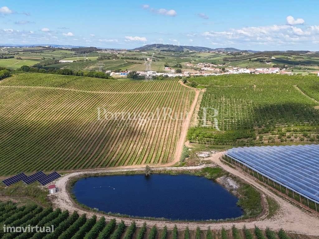 Exploração Agrícola com 37 ha e produção de Pera Rocha no Cadaval - Grande imagem: 3/47
