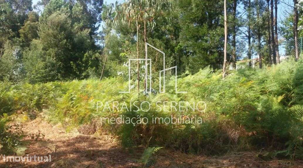 Terreno Caldas de São Jorge - Grande imagem: 3/5