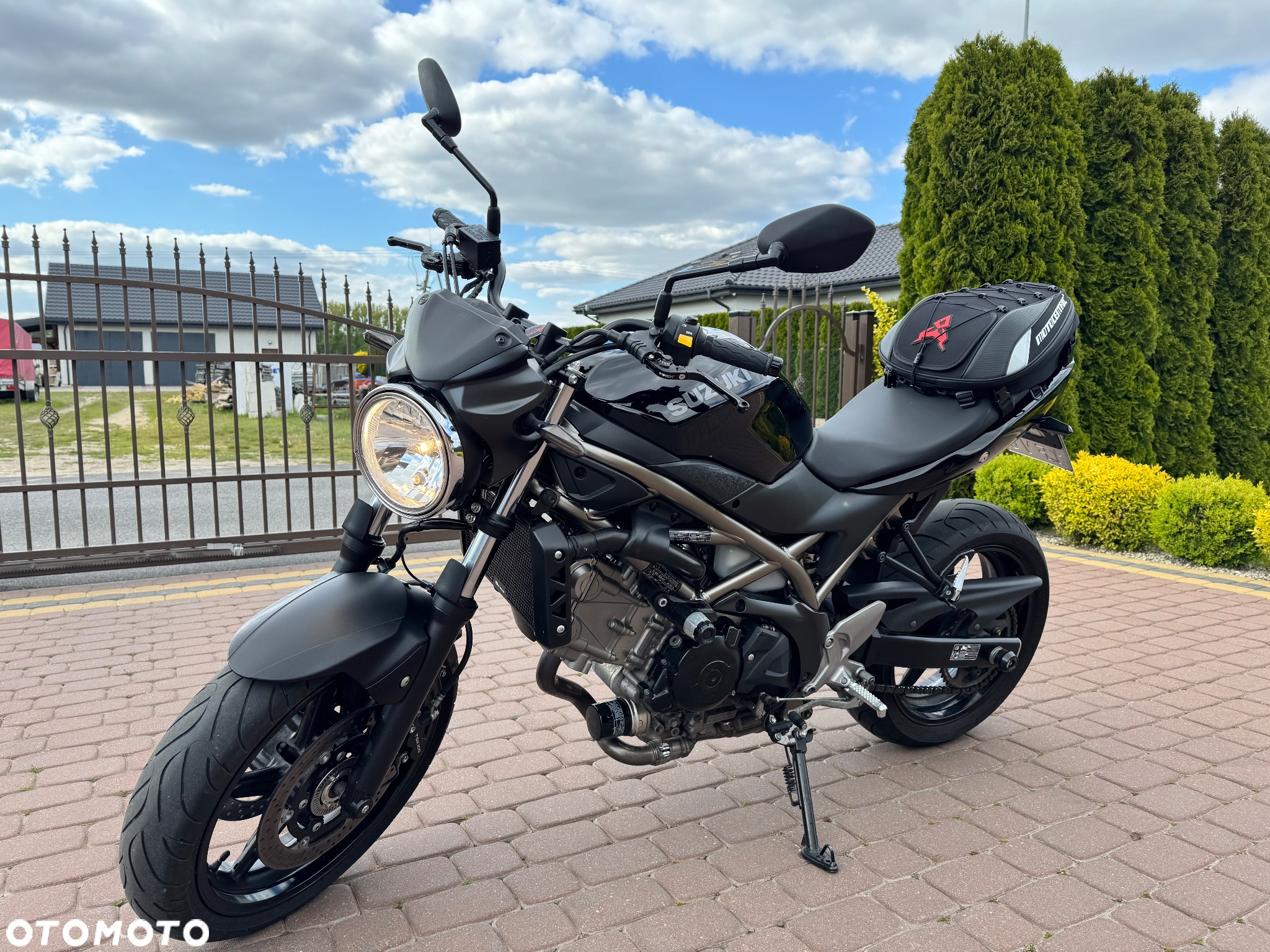 Suzuki SV - 6