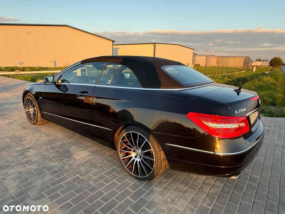 Mercedes-Benz Klasa E ver-250-cdi-blueeff - 8