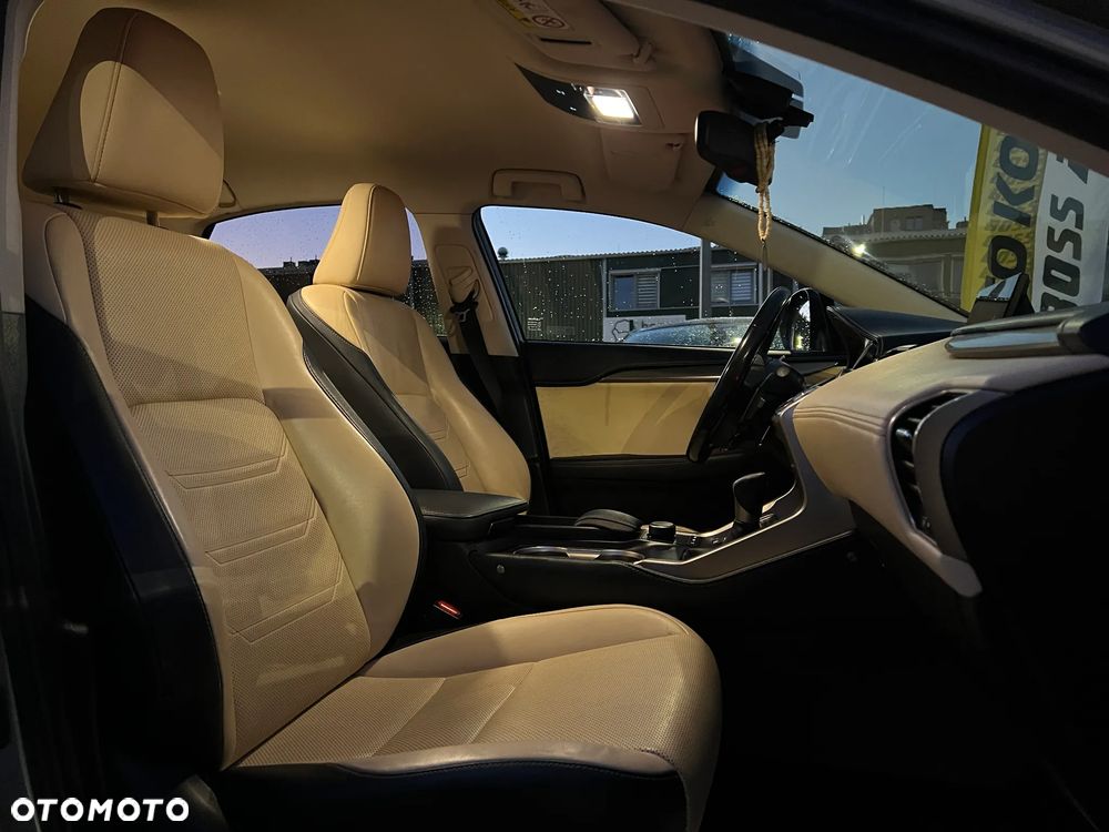 Lexus NX - 19
