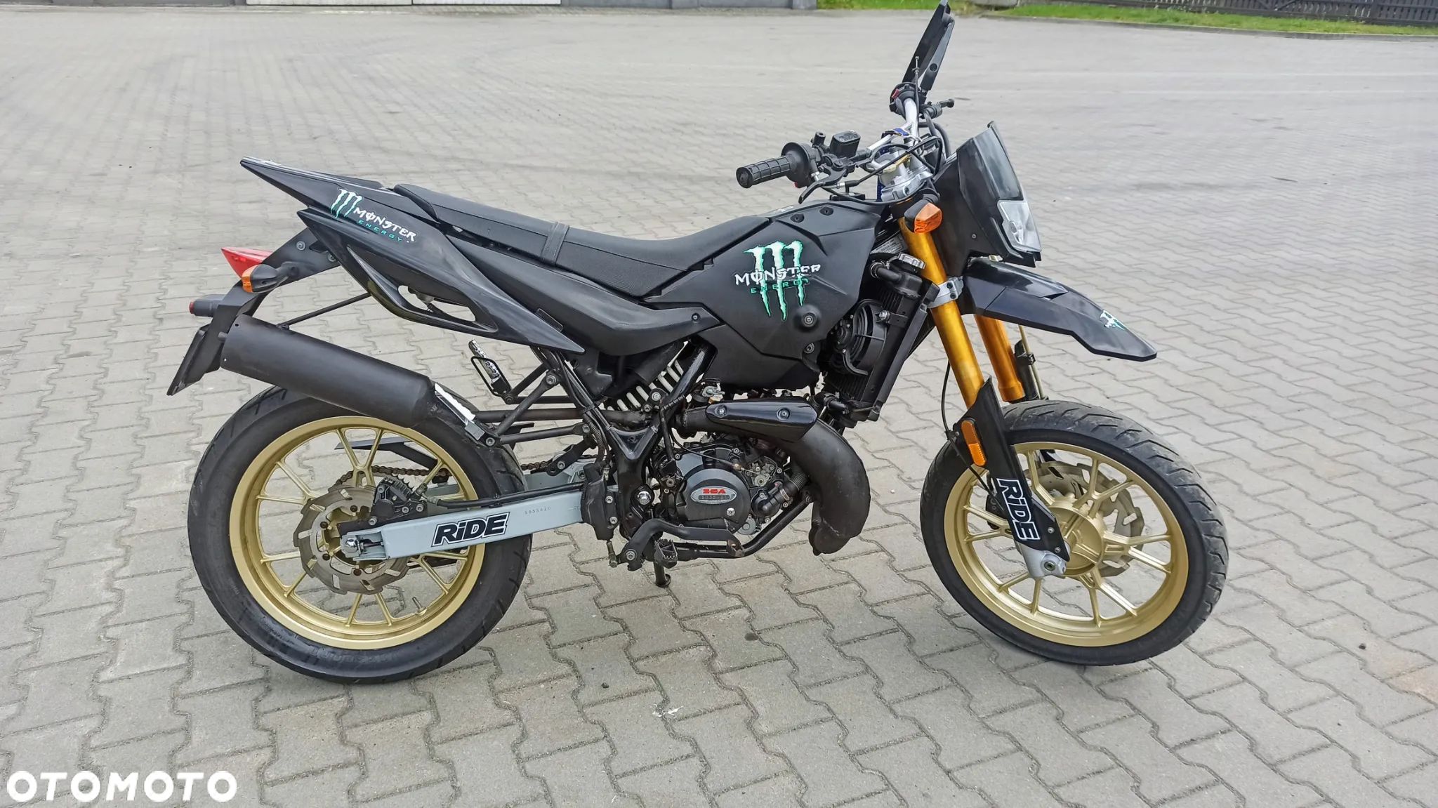 Generic Tiger