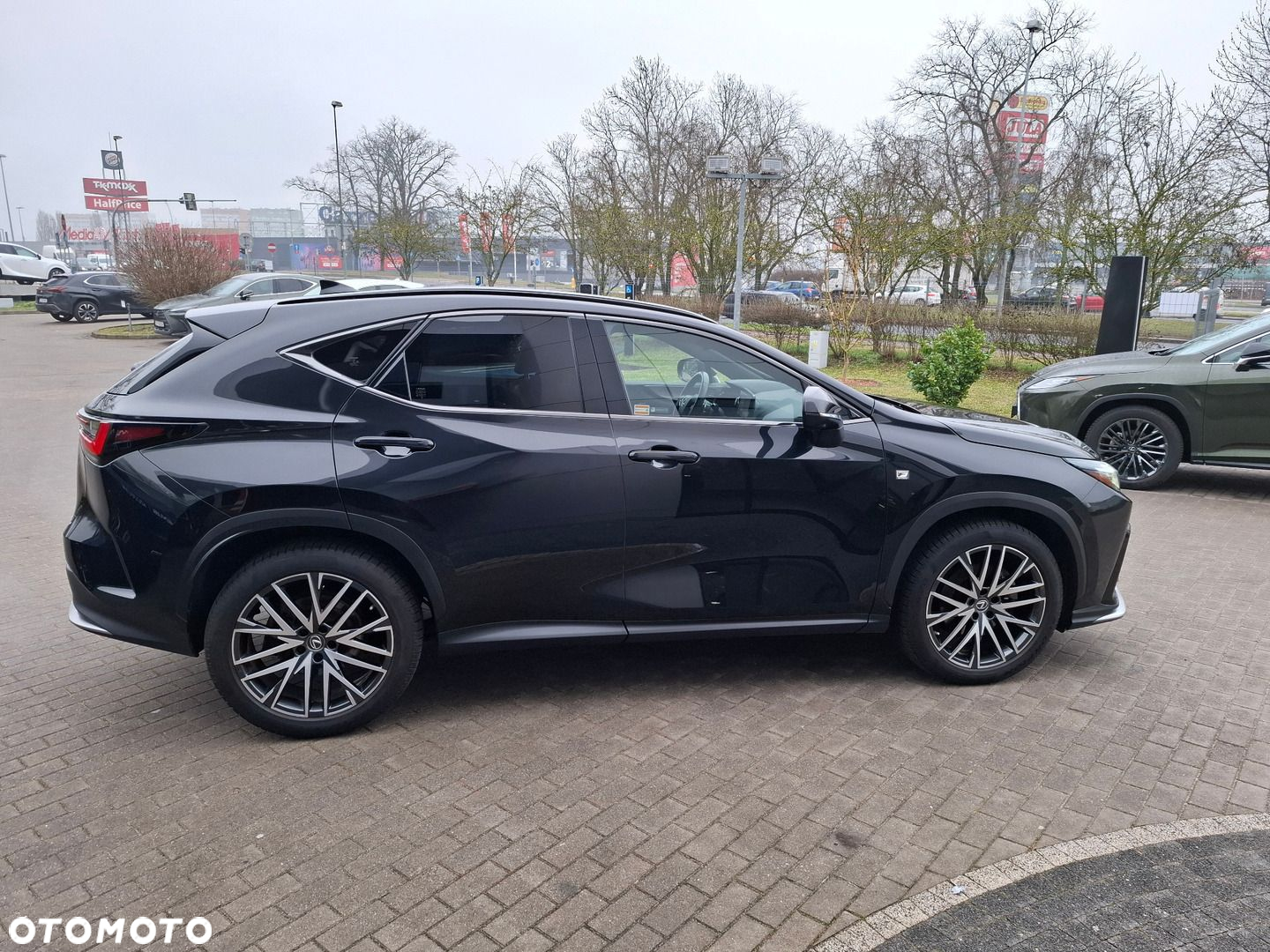 Lexus NX - 6