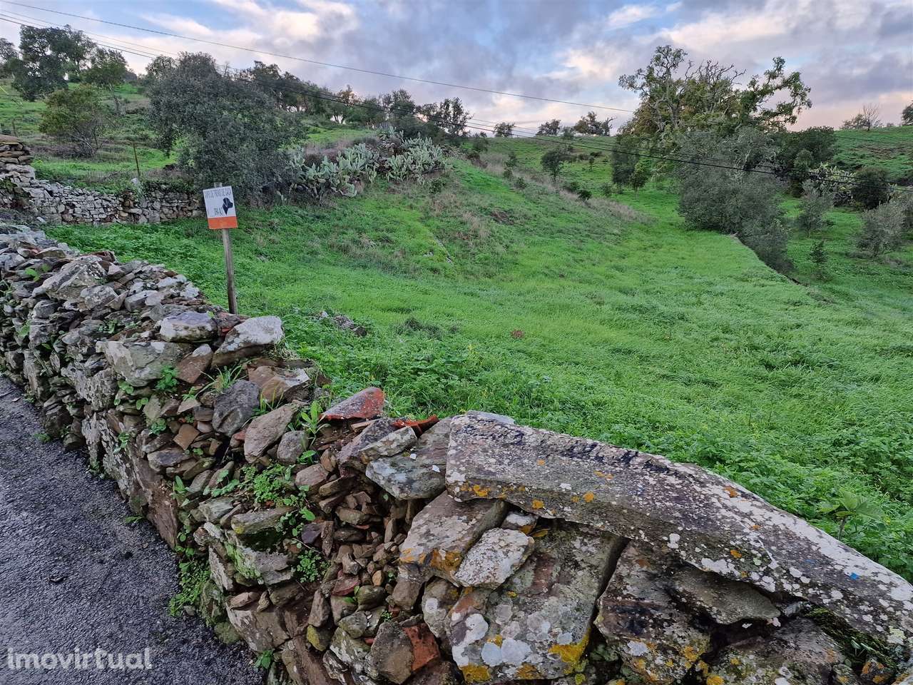 Terreno Rústico  Venda em Santa Cruz,Almodôvar - Grande imagem: 2/5
