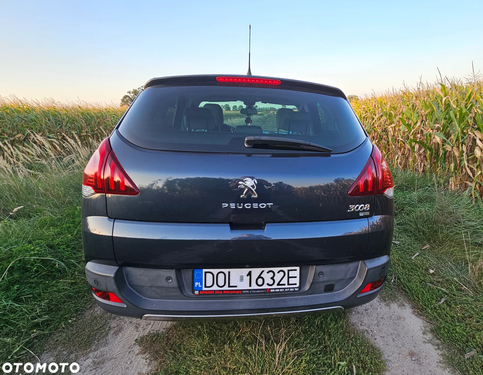 Peugeot 3008 - 6