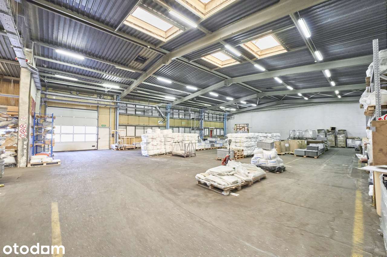 Hala produkcyjna 3900 m2, grunt 1h, Teofilów Przem - Pełny obrazek: 2/4