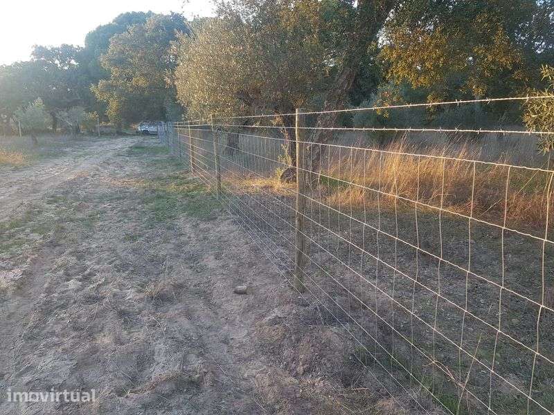 Terreno em Alcácer do Sal - Grande imagem: 3/4