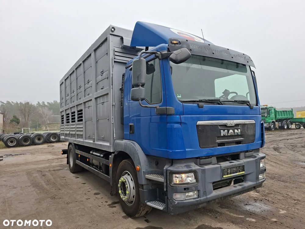 MAN TGM 18.250 4x2 DO ŻYWCA - 2