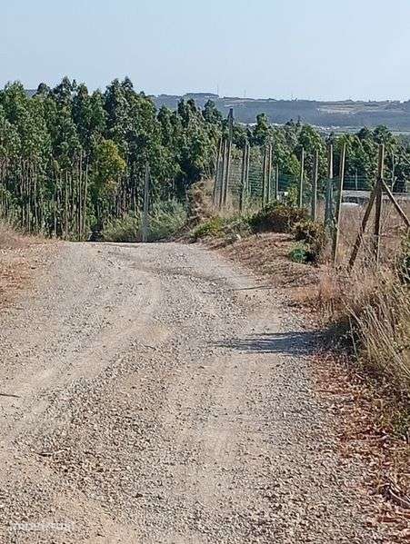 Terreno Rústico Peniche 8mil metros quadrados em Peniche - Grande imagem: 3/3