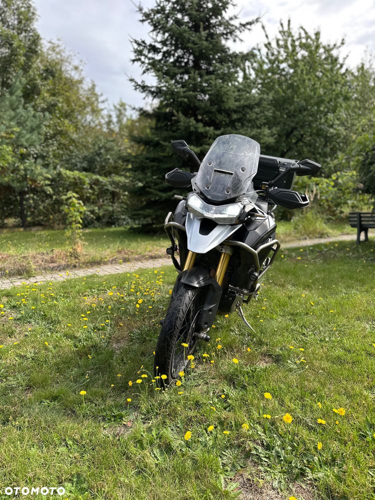Triumph Tiger - 5