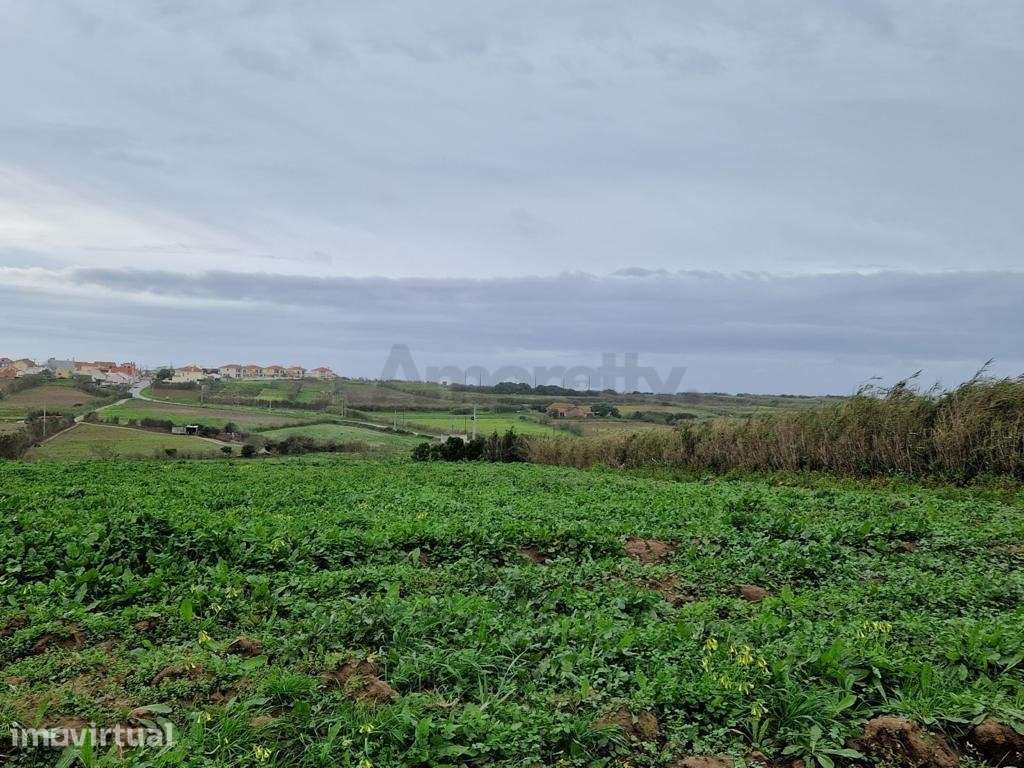 Terreno Para Agricultura em Torres Vedras - Grande imagem: 3/10