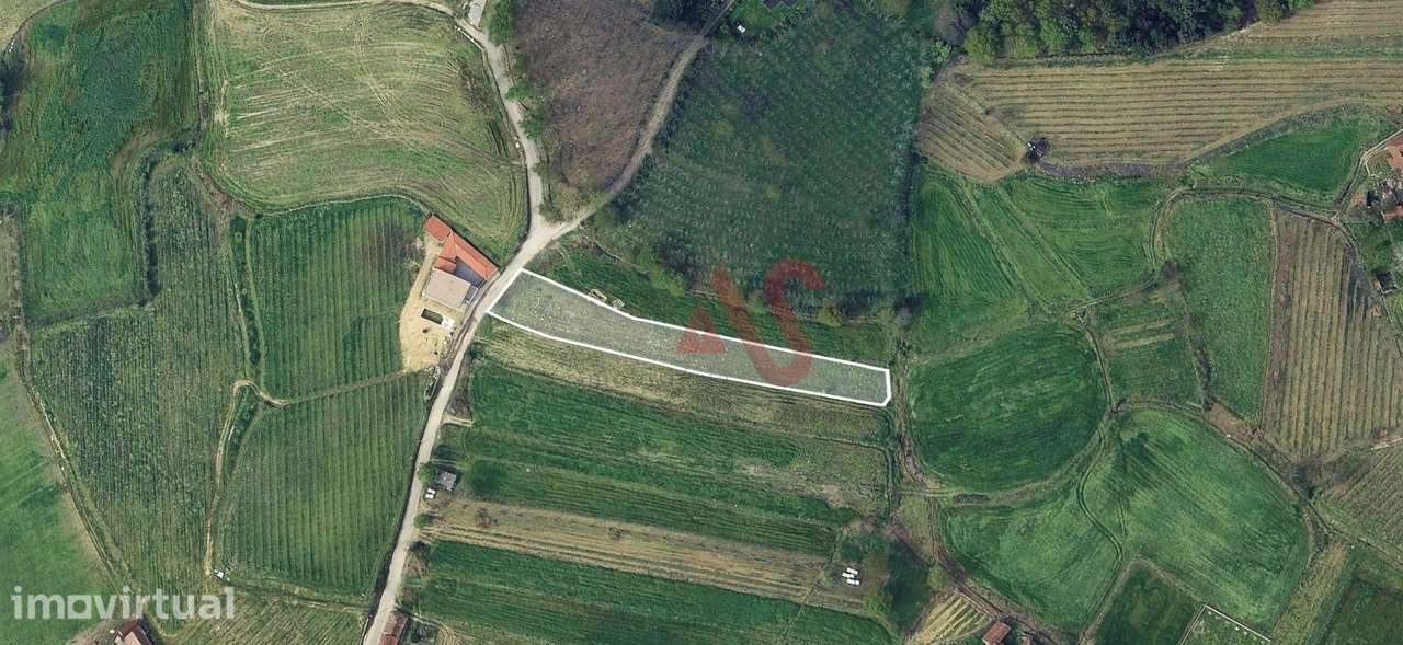 3 Terrenos Agrícola com 6815m2 em Silvares, Lousada - Grande imagem: 2/13