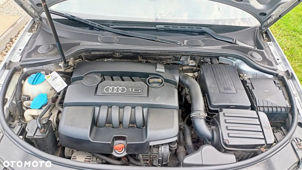 Audi A3 1.6 Attraction - 8