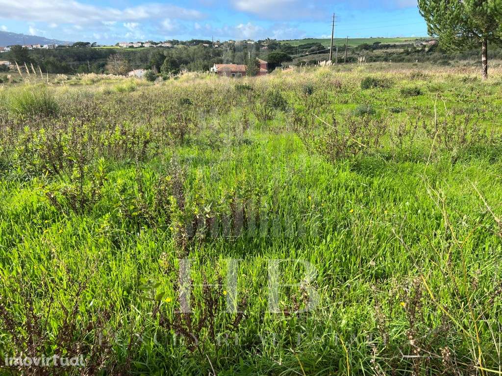 Lote Construção 5002M2| Casal da Granja |Sintra - Grande imagem: 3/45