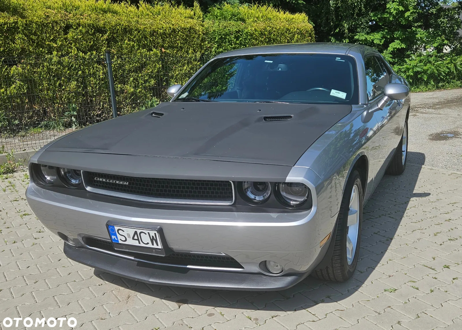 Dodge Challenger Automatik SXT Plus - 5