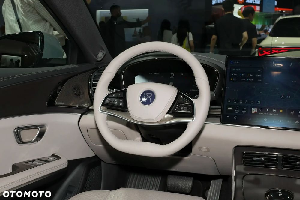 BYD Han Executive - 20