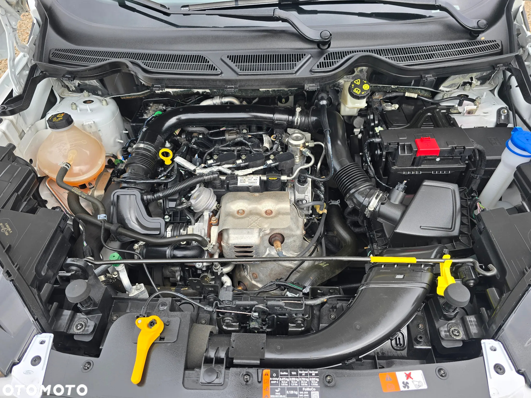 Ford EcoSport 1.0 EcoBoost GPF Titanium ASS - 31