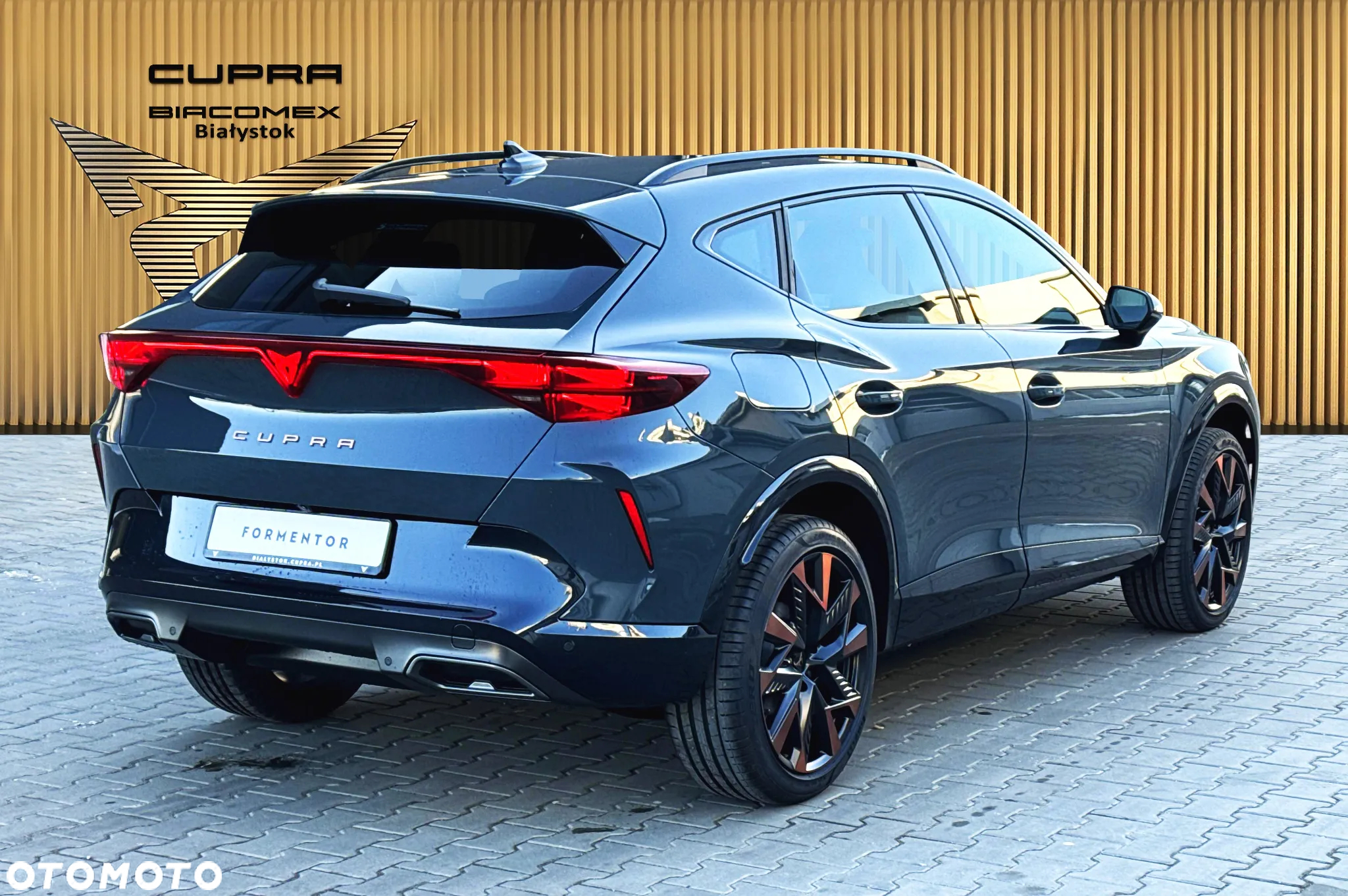 Cupra Formentor 2.0 TSI 4Drive DSG - 6